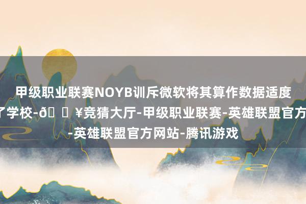 甲级职业联赛NOYB训斥微软将其算作数据适度者的包袱推给了学校-🔥竞猜大厅-甲级职业联赛-英雄联盟官方网站-腾讯游戏