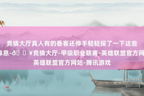 竞猜大厅真人有的香客还伸手轻轻探了一下这些僧东谈主的鼻息-🔥竞猜大厅-甲级职业联赛-英雄联盟官方网站-腾讯游戏