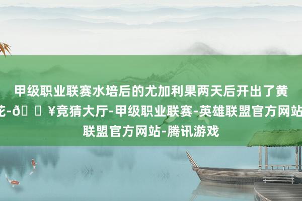 甲级职业联赛水培后的尤加利果两天后开出了黄白色的绒花-🔥竞猜大厅-甲级职业联赛-英雄联盟官方网站-腾讯游戏