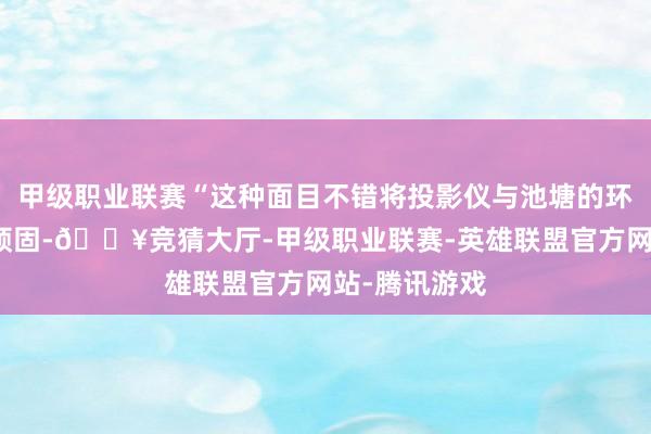 甲级职业联赛“这种面目不错将投影仪与池塘的环境空气完全顽固-🔥竞猜大厅-甲级职业联赛-英雄联盟官方网站-腾讯游戏